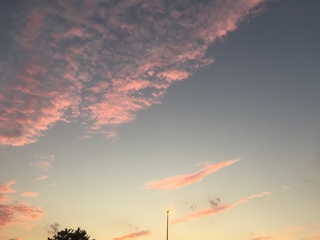 iPhoneImage.png
