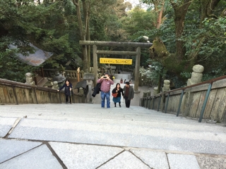 iPhoneImage.png