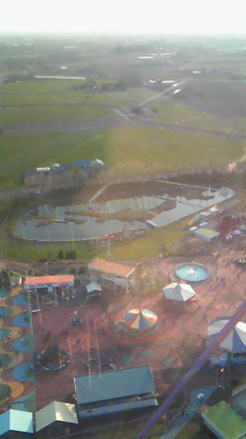 201005041737000.jpg