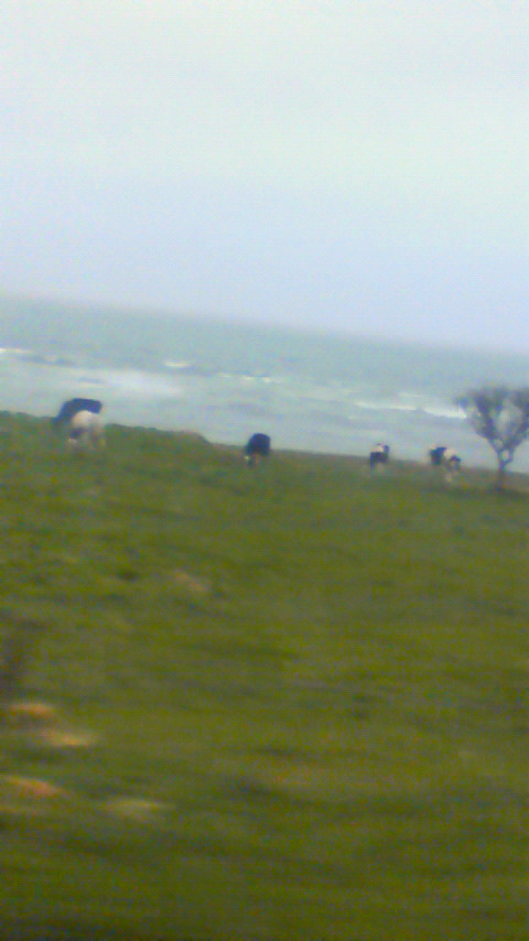 201005261248000.jpg