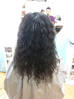 SH3G00650001.jpg
