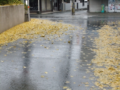 DSCF1543.JPG