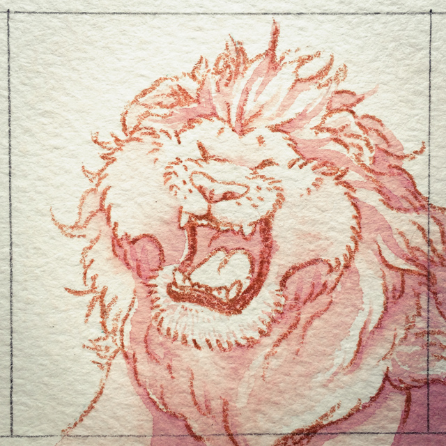 lion03.jpg