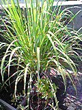 20060831_213028.jpg