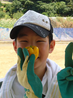 僕の夏休み