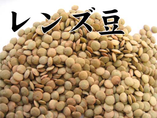 レンズ豆