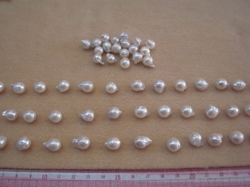 R0015348 (2).JPG