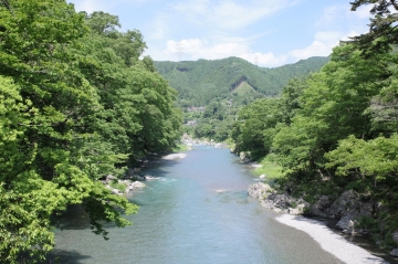 2006170.JPG