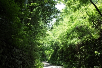 2006172.JPG