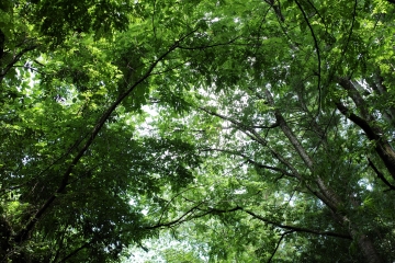 2006176.JPG