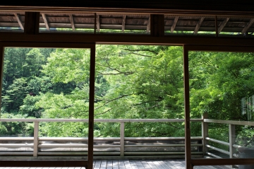 2006177.JPG