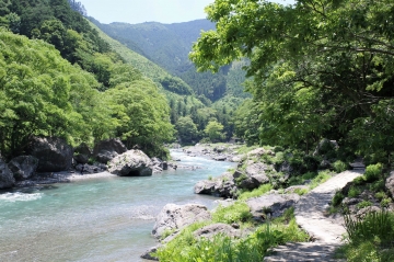 2006179.JPG
