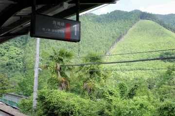 2006184.JPG