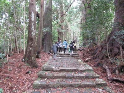 熊野古道大門坂