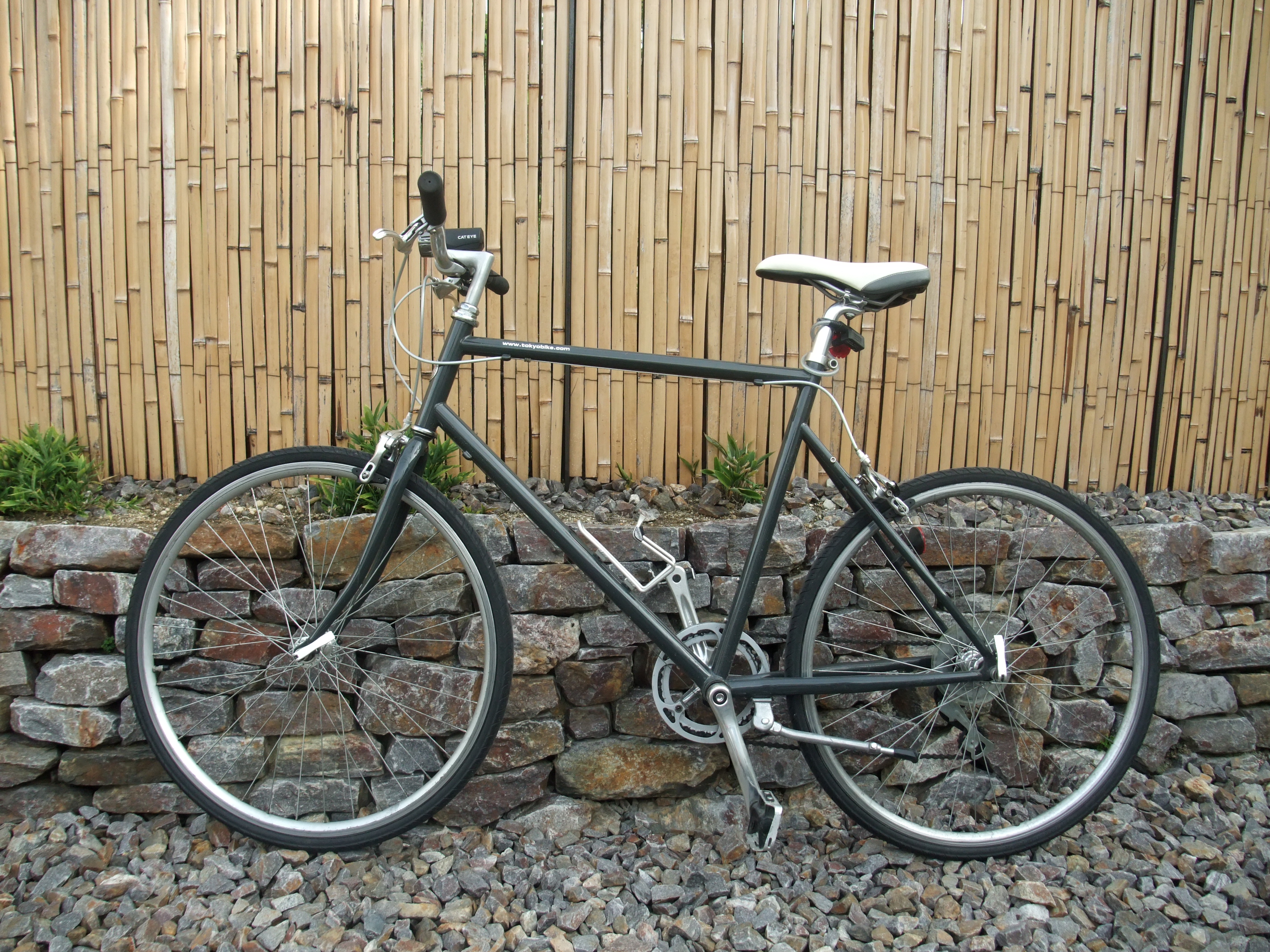 DSCF7397.JPG