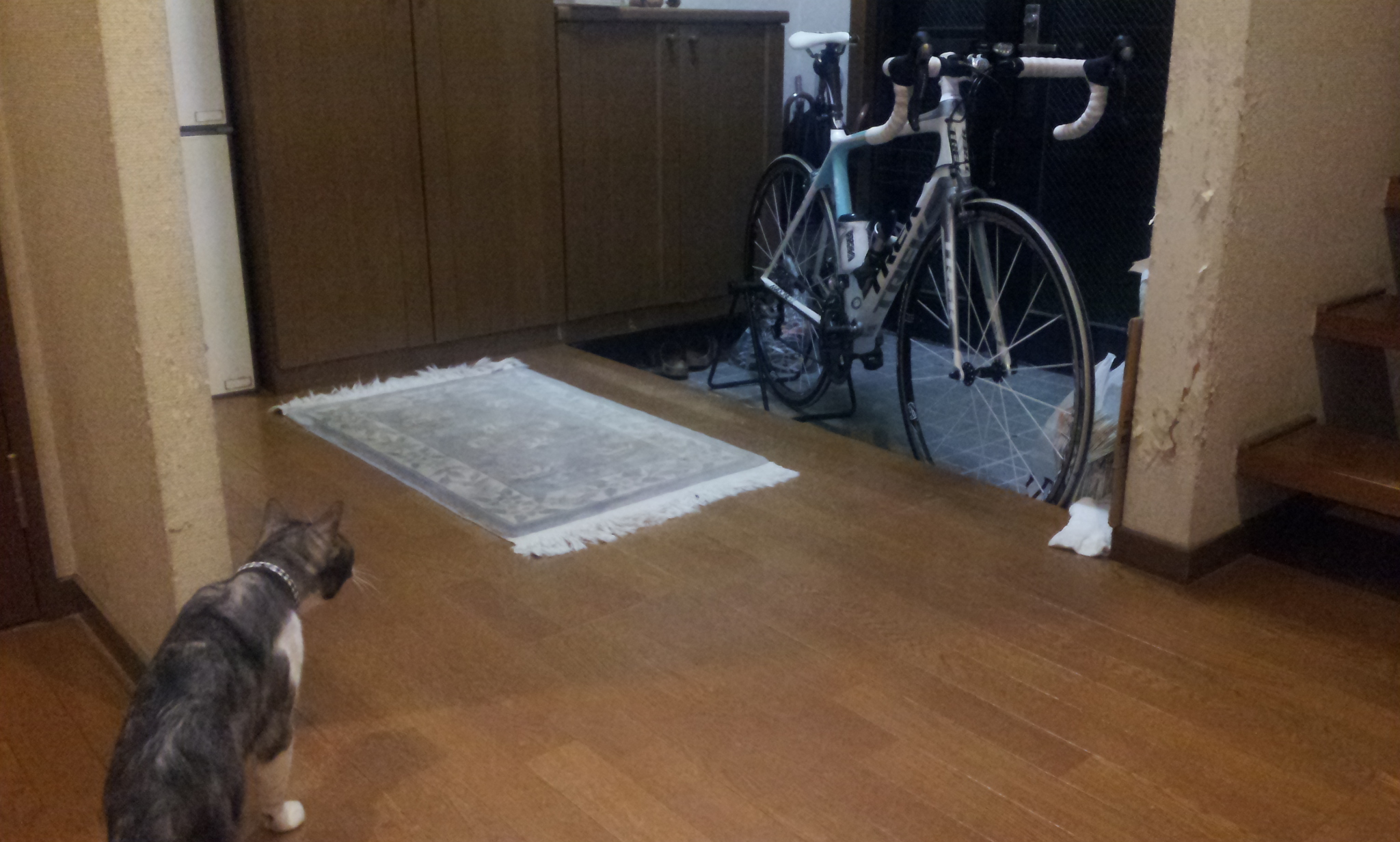 20120925_214558.jpg