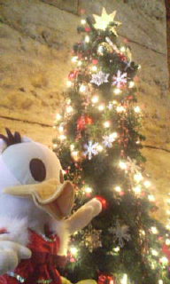 20061224_3340.jpg