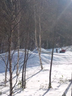 SH3G39110001.jpg