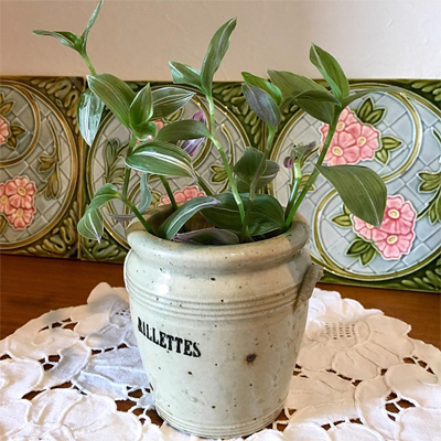 Rillettes(リエット)と書かれた小さなパテ壷