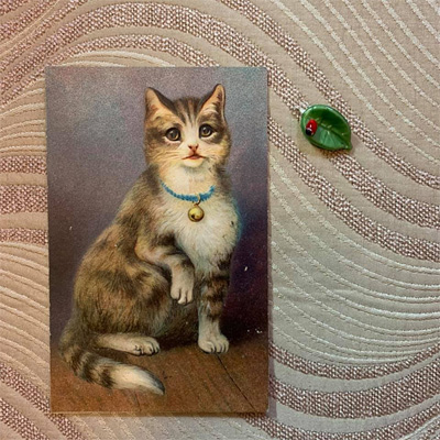 てんとう虫の手芸用パーツと猫のポストカード