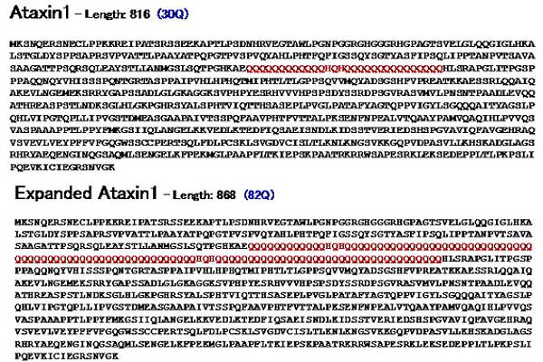 ataxin