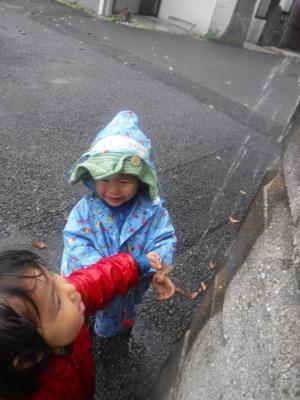 DSCF5175.JPG