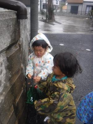 DSCF5188.JPG