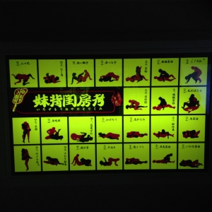 四十八手的なもの?