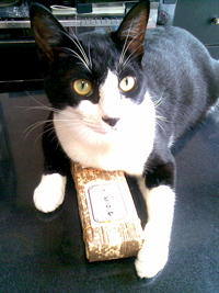 猫75