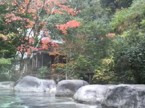 2009120112010000.jpg