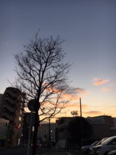 IMG_7517.JPG