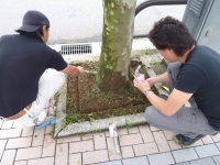 雨漏り富山ブログ