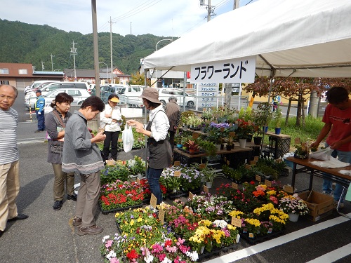 花の育て方など・・・お気軽にお尋ねください。ご注文もお願いします。