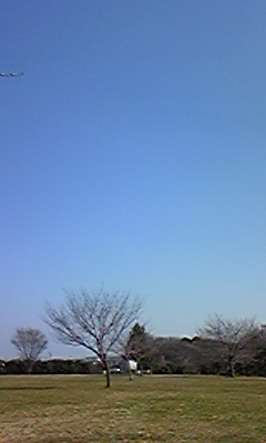 110222_130844.jpg