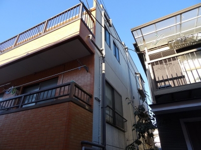 今日の画像