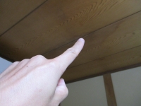 今日の画像