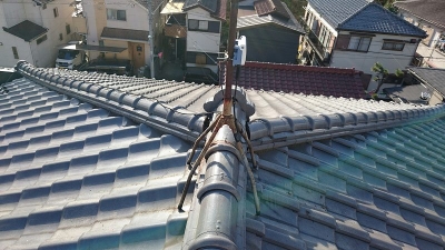 今日の画像