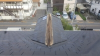 今日の画像