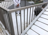 今日の画像