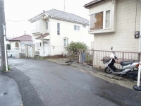 今日の画像