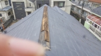 今日の画像