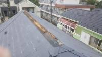 今日の画像