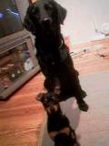 20060415_73151.jpg