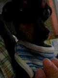 20060509_92356.jpg