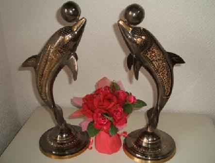 dolphine-1