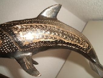 dolphine-6
