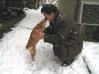 ����å��������礭�ʲ�����������