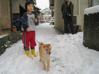 ����å��������礭�ʲ�����������