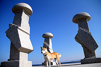 �Ȥ����컰�ٳ�