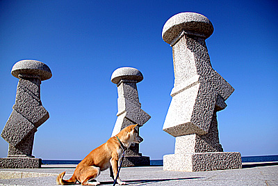 �Ȥ����컰�ٳ�